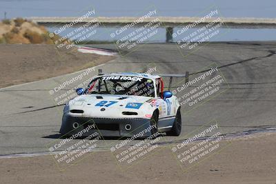 media/Oct-01-2023-24 Hours of Lemons (Sun) [[82277b781d]]/1045am (Outside Grapevine)/